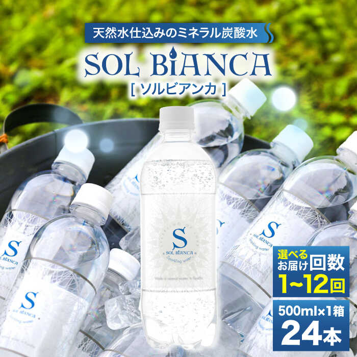 【ふるさと納税】【選べる回数】シリカ炭酸水 ソルビアンカ 500ml×24本 炭酸水 水 飲料水 みず シリカ 定期便 単品 日田市 / 株式会社OTOGINO[AREF097-108]