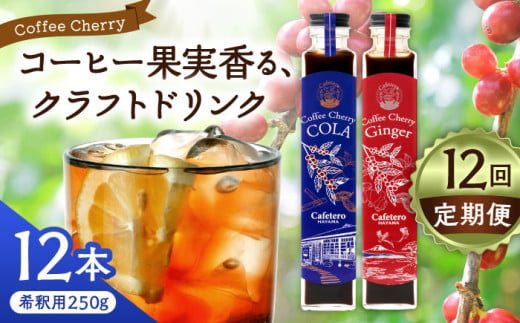 【全12回定期便】カフェテーロ葉山　コーヒーチェリーコーラ 6本 コーヒーチェリージンジャー 6本/ コーラ エナジードリンク 酸味 コーヒー  神奈川県 葉山町 クラフトコーラ 天然 ドリンク 炭酸【合同会社エンディレクト】 [ASBM021]