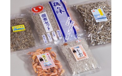 B109-13 特選　海からの贈り物