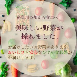 直売所からお届け！旬の野菜セット【隔月6回お届け】（8～10品詰め合わせ）新鮮な野菜直送便