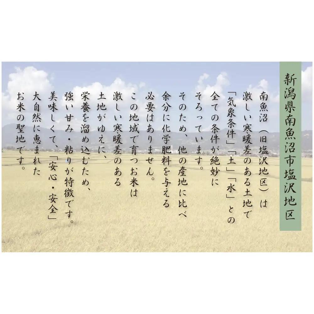 【令和8年 先行予約】南魚沼産コシヒカリ10kg一等米（5kg×2袋）【塩沢地区】【2026年10月中旬より1ヶ月以内に順次発送予定】｜コシヒカリ