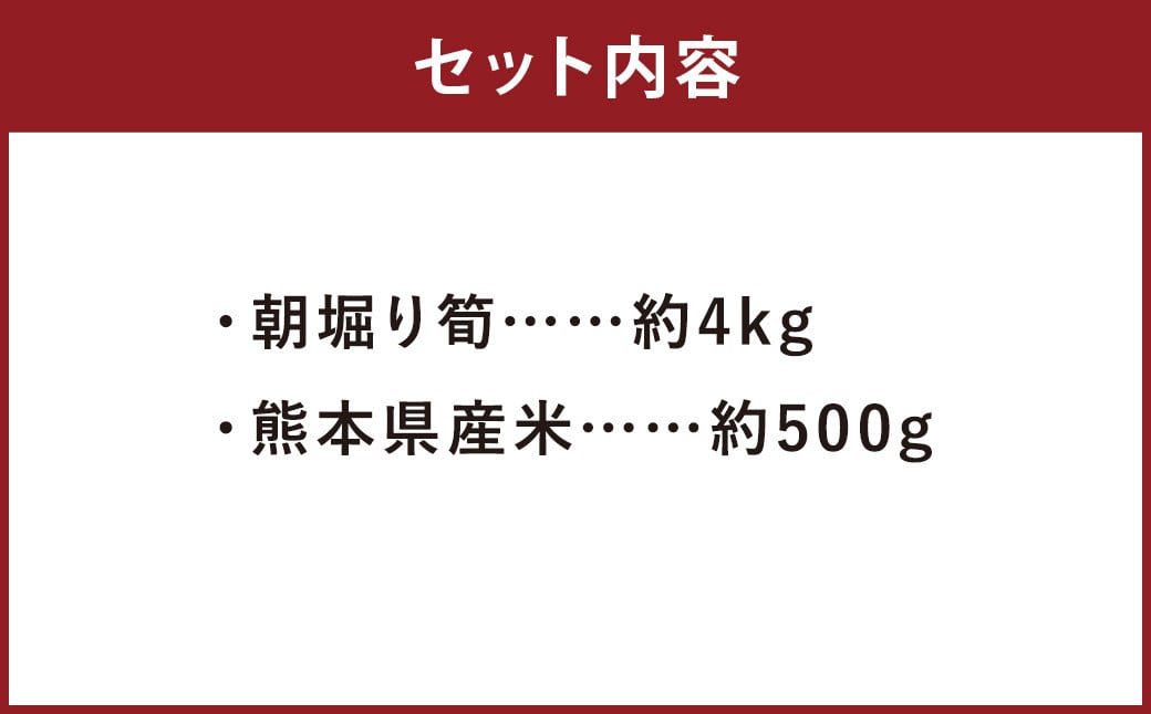 【数量限定】朝堀り 筍 4kg 熊本県産米（約500g）付き【2026年3月上旬～4月下旬迄発送予定】