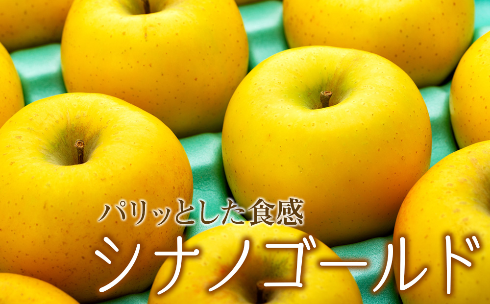 りんご シナノゴールド 4.5kg 14～18玉 贈答用 果物 くだもの 