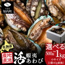 【ふるさと納税】北海道知内町産 養殖活あわび 選べる500g～1kg 小サイズ（40g前後） ＜上磯郡漁業協同組合＞知内町 ふるさと納税 北海道ふるさと納税アワビ 北海道産アワビ 活アワビ 生きているアワビ あわび 鮑