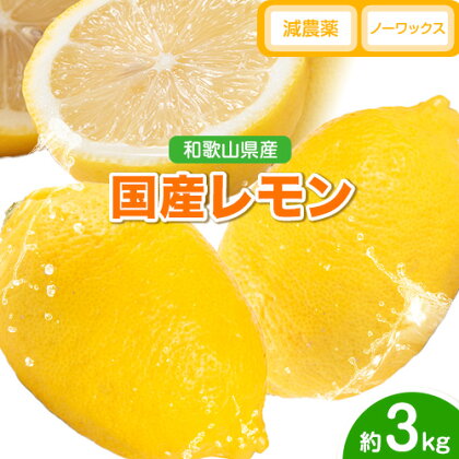 レモン 国産 レモン 3kg(L～4Lサイズ) ノーワックス 減農薬 どの坂果樹園《2027年2月上旬-5月末頃出荷》 和歌山県 日高町 レモン れもん 檸檬 旬 果物 フルーツ 柑橘 産地直送 送料無料