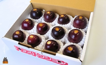 《今が旬！》とくのしま中島農園さんのパッションフルーツ（1kg） ( パッションフルーツ 果物 フルーツ 旬 トロピカルフルーツ 奄美 徳之島 鹿児島 美味しい 中島農園 )