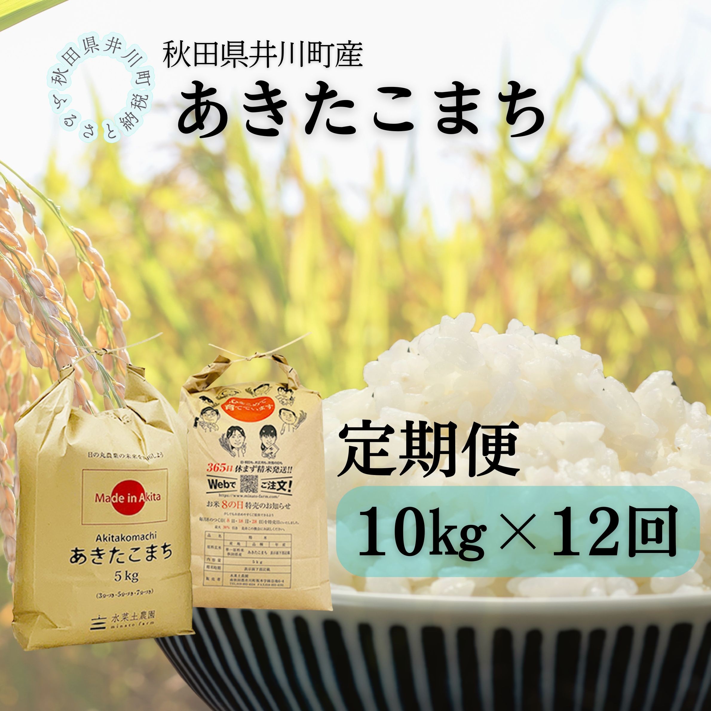 
                  【定期便】井川町産　あきたこまち10kg×12回
                