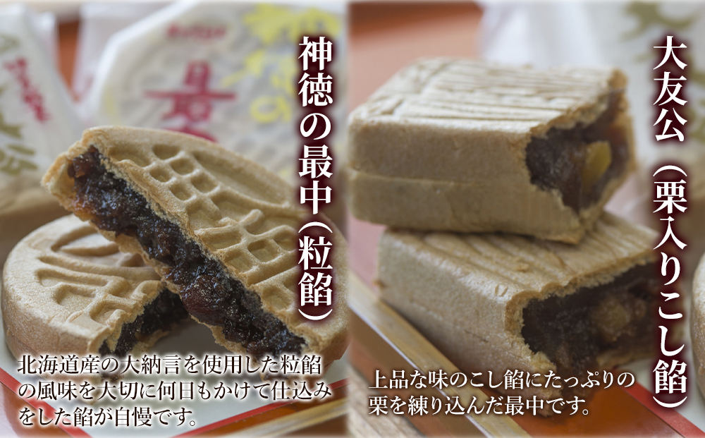 最中の詰合せ 10個入り 和菓子 茶菓子 もなか お中元 お歳暮 ギフト お供物 大分県産 九州産 津久見市 熨斗対応