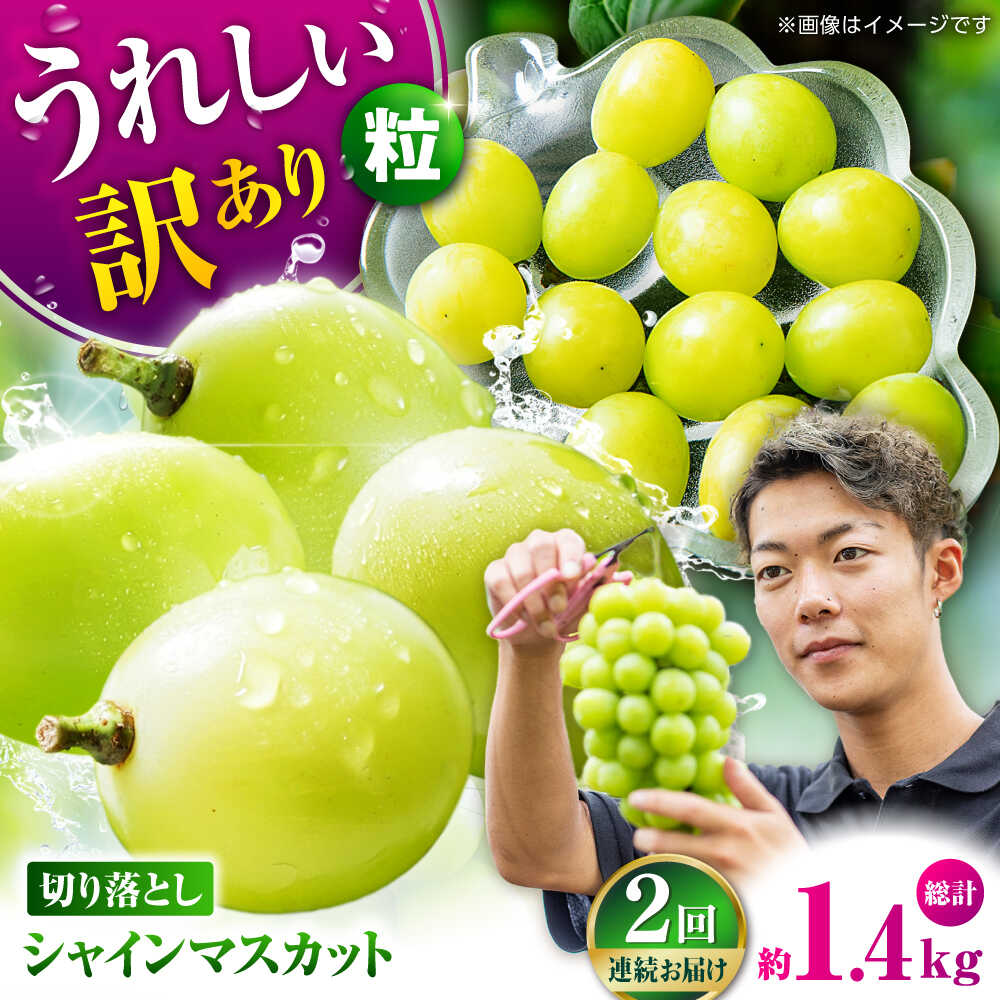 【ふるさと納税】【先行予約】【2回定期便】　訳あり シャインマスカット 切り落とし 約700g 【合同会社 社方園】[ZBZ043]