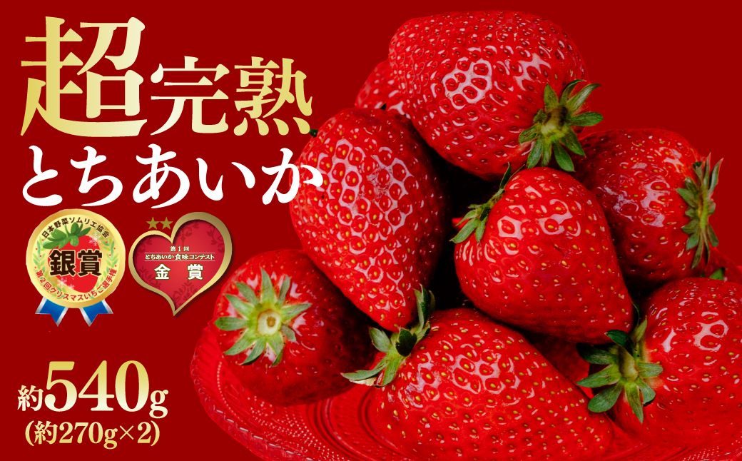 【先行受付：3月以降発送】いちご 鈴木ファームの とちあいか レギュラーサイズ 約270g × 2パック 合計 約540g | いちご イチゴ 苺 とちあいか 完熟 果物 フルーツ くだもの 旬 産地直送 栃木県産 鈴木ファーム 栃木県 茂木町