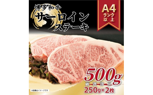 
＜A4～A5＞博多和牛サーロインステーキ＜厳選部位＞(250g×2枚)【1168509】
