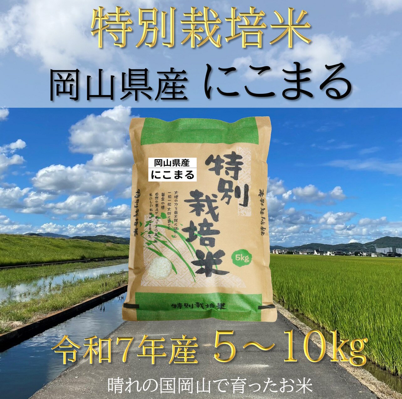 【ふるさと納税】【お米　特別栽培米】岡山県産「にこまる」10kg（令和7年産）FF-46