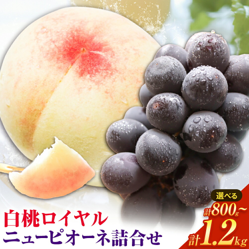 【先行予約】岡山県産 白桃ロイヤルニューピオーネ詰合せ 選べる 計800g～計1.2kg 株式会社はちや《7月上旬‐8月下旬頃出荷》岡山県 浅口市 白桃 桃 ぶどう 葡萄 フルーツ ギフト 果物 デザート 国産 送料無料【配送不可地域あり】