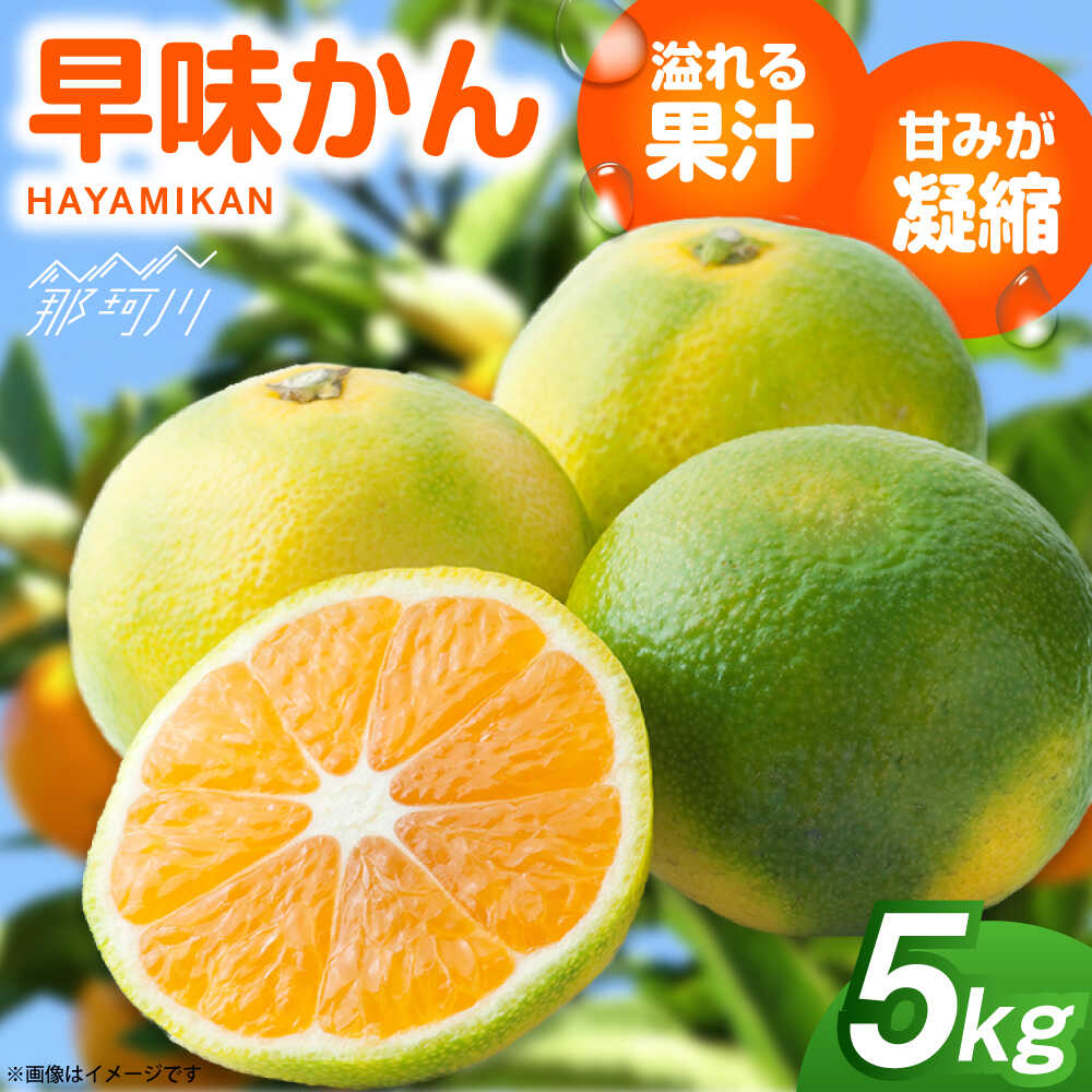 【ふるさと納税】【2025年9月以降発送】産地直送！福岡県オリジナル品種 みかん 「早味かん」 5kg＜一般社団法人地域商社ふるさぽ＞那珂川市 | みかん フルーツ オレンジ 福岡 オリジナル 季節商品[GBX053] 10000 10000円 1万円 以上