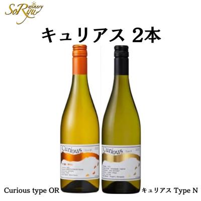 ふるさと納税 甲州市 蒼龍葡萄酒Curious甲州[オレンジ&amp;シュールリー]2本セット　B2-679