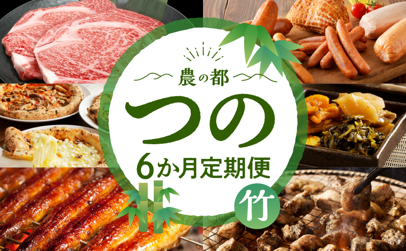 ≪6か月お楽しみ定期便≫都農町定期便(竹) 肉 加工品 鰻 国産_T999-0061