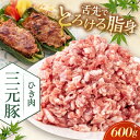 【ふるさと納税】三元豚 ひき肉600g《喜茂別町》【平田牧場】 肉 豚肉 ミンチ 豚ミンチ 餃子 つくね 冷凍配送 北海道 [AJAP076]