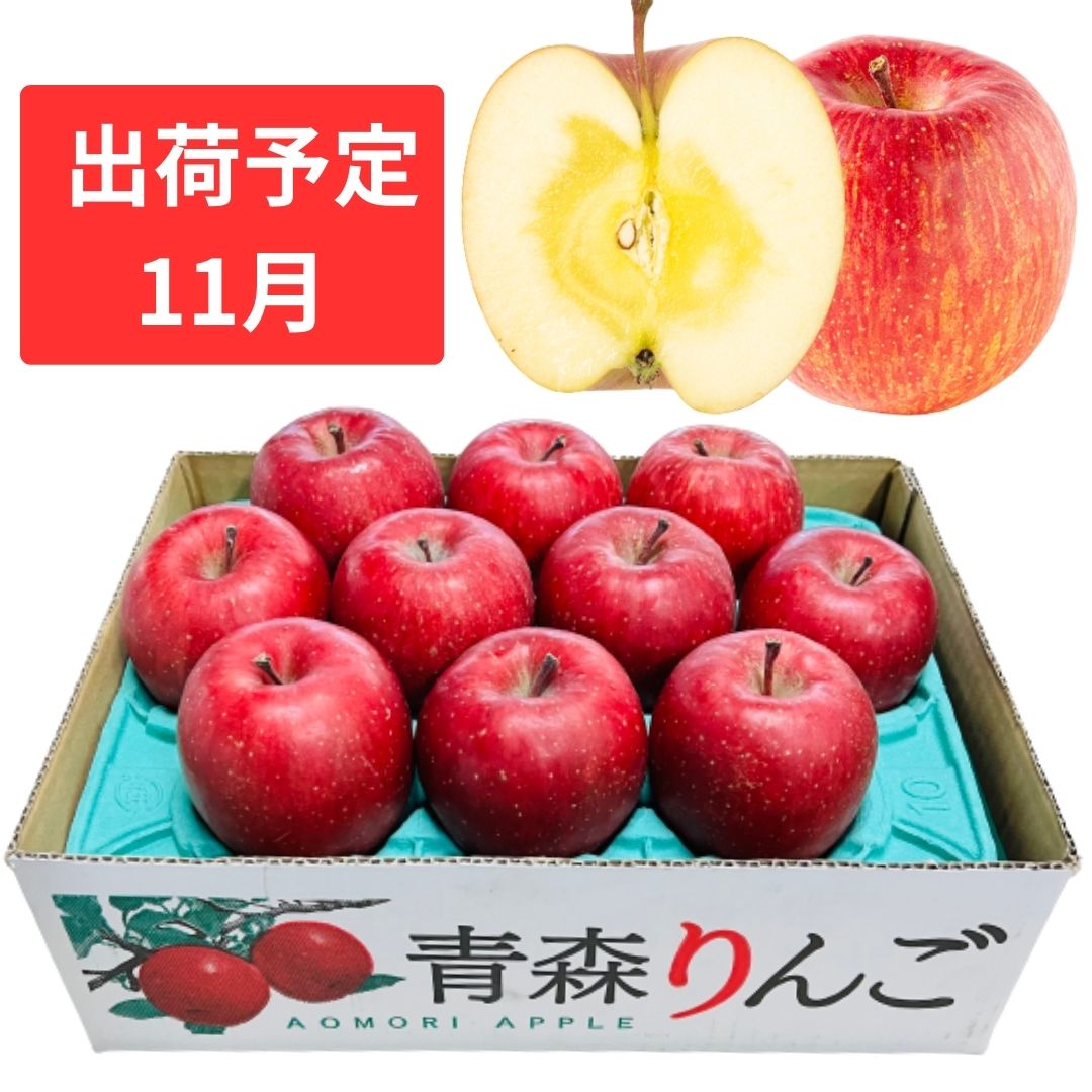【ふるさと納税】【11月下旬発送】 特A 蜜入りサンふじ約3kg　糖度13度以上 【青森りんご・マルコウアップル】 果物類 林檎 リンゴ フルーツ 　お届け：2025年11月下旬～2025年11月30日