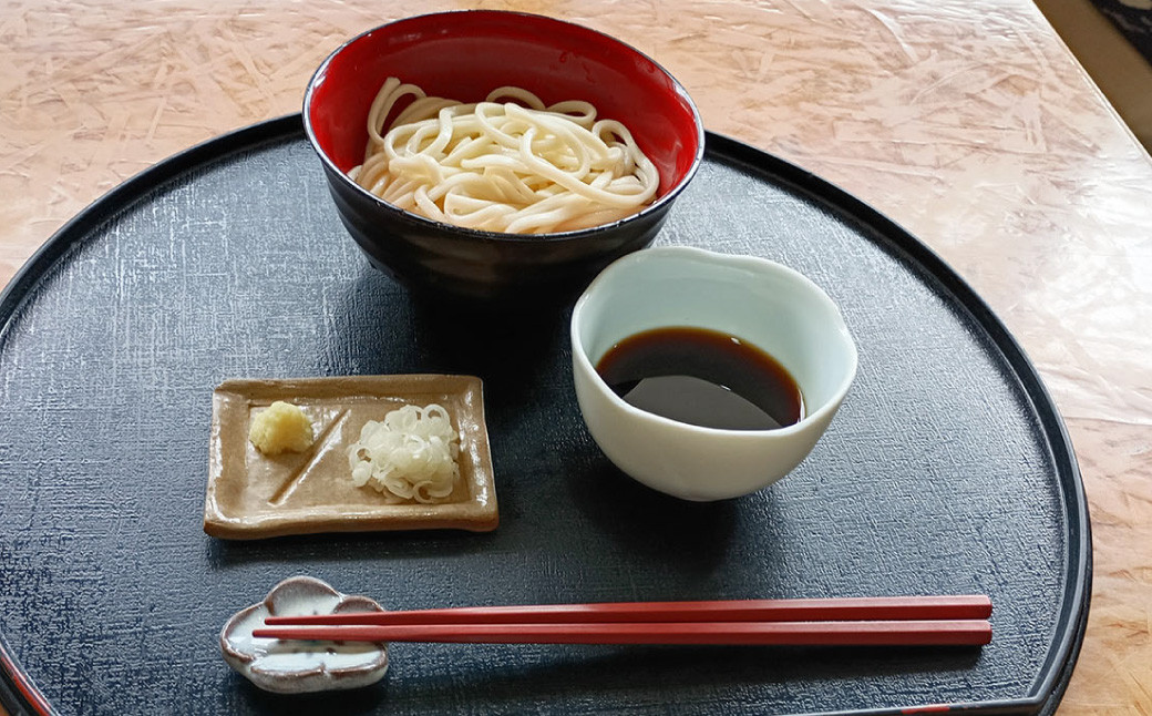 生うどん 100g×5人前×2セット