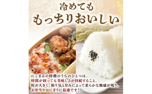 【令和8年産】 米 にこまる 計 15kg 定期便 5kg 3ヶ月 お米 白米 精米 高知県産 ごはん ご飯 弁当 おにぎり 料理 高知県安芸市 四国 山地 清流 安芸平野 風 日照時間 超早場米 粒