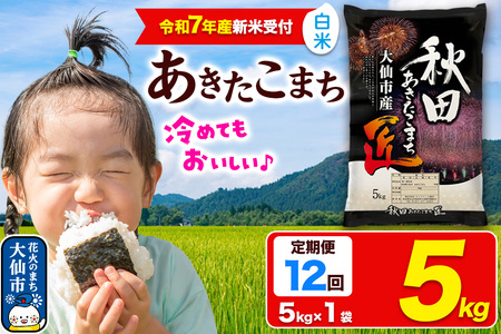 ＜令和7年産 新米受付＞《定期便12ヶ月》米【白米】秋田県大仙市産 あきたこまち 精米 5kg 令和7年産