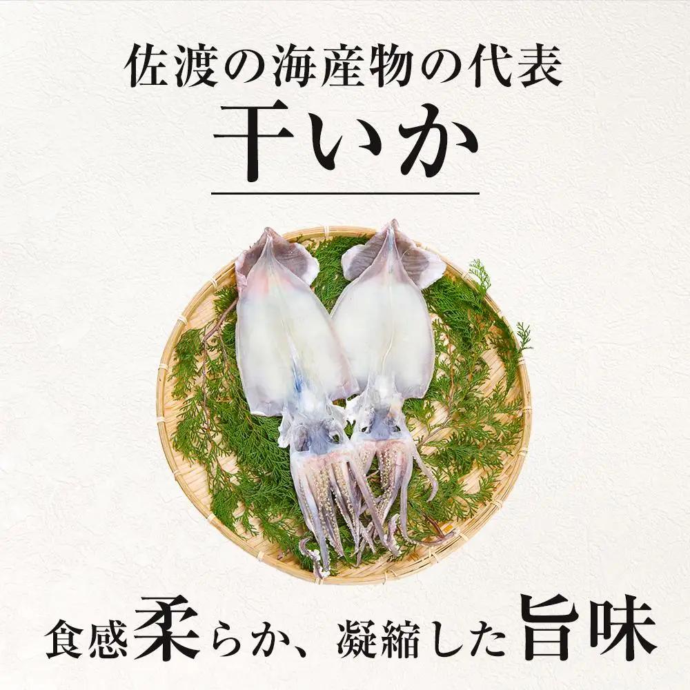 干物イカ 佐渡産 4枚 ( 1袋2枚 × 2 ) イカ