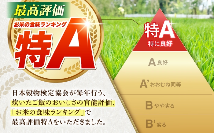 さがびより 玄米 10kg ( 5kg×2袋 ) 【ひなたむらのお米】 [HAC003]米 佐賀 佐賀県産 特A評価 玄米