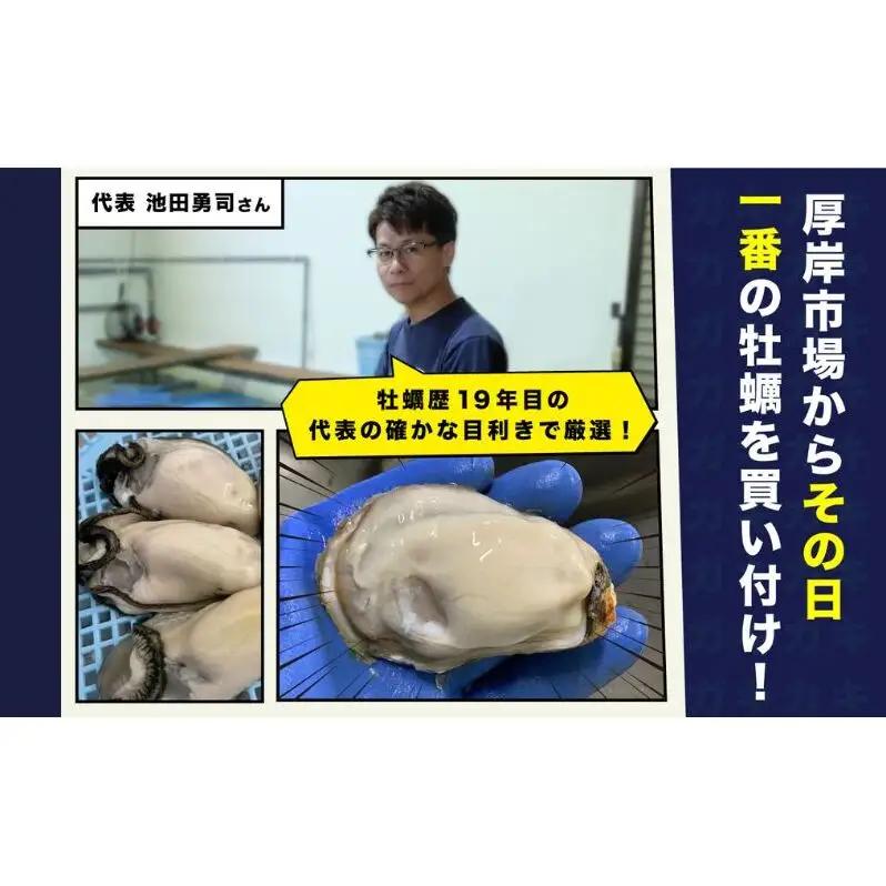 厚岸産牡蠣 Mサイズ 12個 生食用 ブランド牡蠣