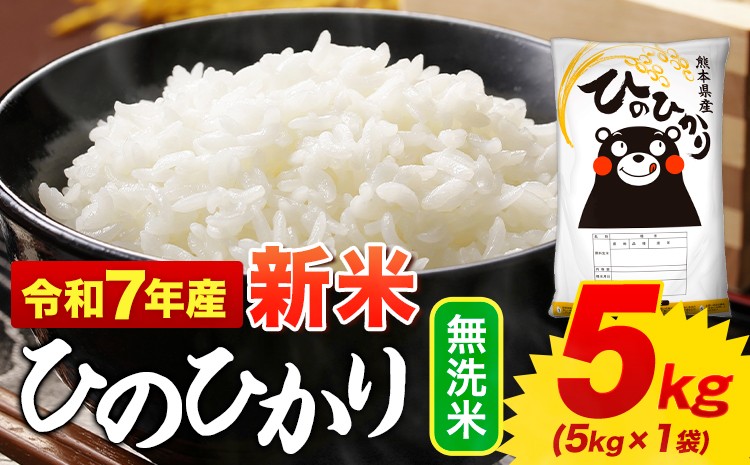 
            新米 無洗米 ひのひかり 5kg 令和7年産  熊本県産 ふるさと納税 無洗米  精米 ひの 米 こめ ふるさとのうぜい ヒノヒカリ コメ お米 おこめ 《12月中旬-2月末頃出荷》
          