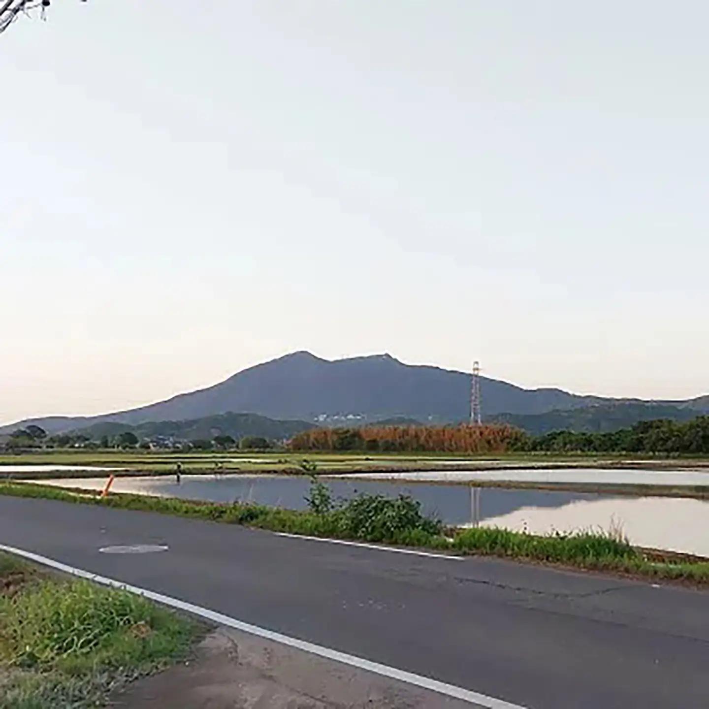 令和7年産 市左衛門農場コシヒカリ10kg(玄米) こしひかり