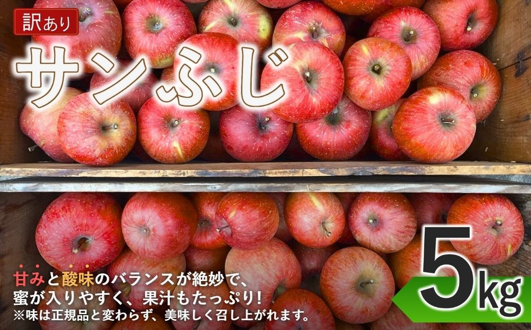 
            【2025年先行予約】訳あり りんご サンふじ 家庭用 約5kg 林檎 りんご 長野県 千曲市 信州
          