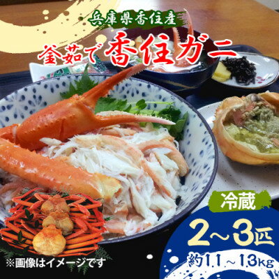 【ふるさと納税】釜茹で香住ガニ(紅ズワイガニ)・冷蔵(4種類から選択可)【配送不可地域：離島・北海道・沖縄県・東北・九州】【G1512434】