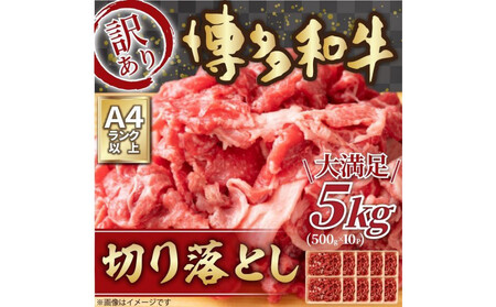 訳あり 博多和牛 切り落とし 5kg ( 500g×10パック ) |  牛肉 切り落とし 和牛  切落し お肉 肉  切り落とし 小分け 切り落とし 不揃い 5000g 5キロ 切り落とし 肉じゃが 牛丼 野菜炒め ブランド牛 切り落とし