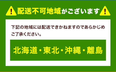リピーター続出！ふわっふわのシフォンケーキ（クルミ）ガトー・アンジェ 《30日以内に出荷予定(土日祝除く)》【配送不可地域あり】ケーキ 洋菓子 ホール デザート お取り寄せ 手土産 プレゼント 冷蔵 