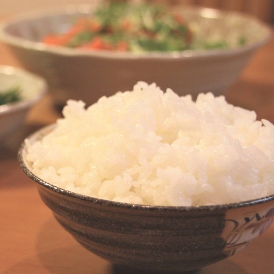 【令和7年産新米】＜ファーム小栗山＞獅子米　精米コシヒカリ5kg