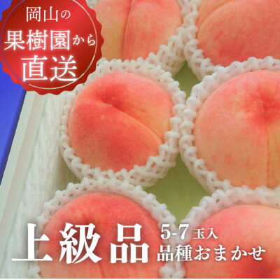【ふるさと納税】【きよとうファーム】旬採り桃の上級品5-7玉入(岡山県産)【配送不可地域：離島】【1571589】