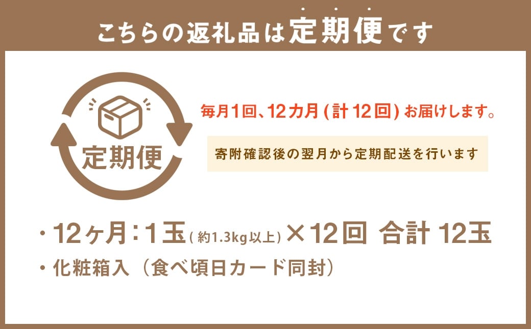 【12ヶ月定期便】静岡県産高級 アローマメロン 約1.3kg以上×山等級1玉
