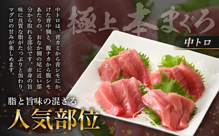 お刺身 セット サーモン 100g × 2P ＆ 本まぐろ 中トロ 100g ×1P【福井県 冷凍 小分け 刺身 アトランティックサーモン 鮭 サケ さけ マグロ 鮪 】 [e04-a089]