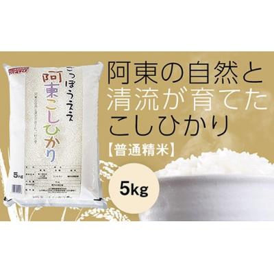 ふるさと納税 山口市 阿東こしひかり(普通精米5キログラム) D515
