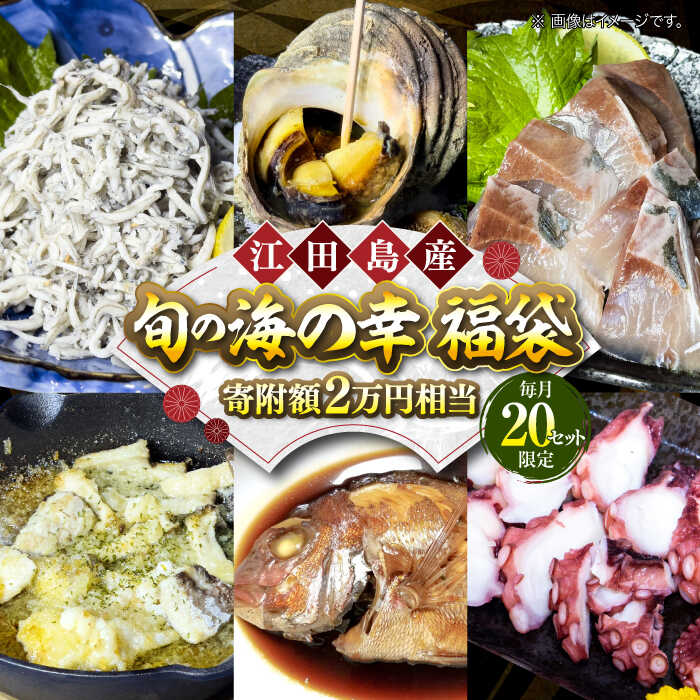 【ふるさと納税】【何が届くかお楽しみ】旬の海の幸 福袋 寄附額 2万円相当 海鮮 魚介類 冷凍 水産加工品 海藻 鮮魚 さかな 刺身 詰め合わせ セット 小分け 料理 和食 時短 便利 ギフト 広島県産 人気 送料無料 江田島市/七宝丸[XBY005]
