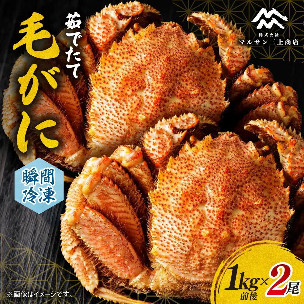 茹でたて毛がに(瞬間冷凍）1kg前後×2尾｜北海道産 毛ガニ 蟹 茹でたて 北海道 札幌市