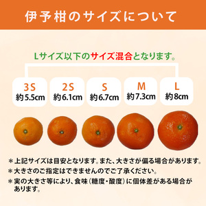 【2027年2月上旬から発送予定】 伊予柑 家庭用 小玉 5kg 伊予柑【RNK0103】