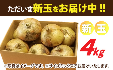 新玉ねぎ 4kg 淡路島 不揃い / フルーツ玉ねぎ