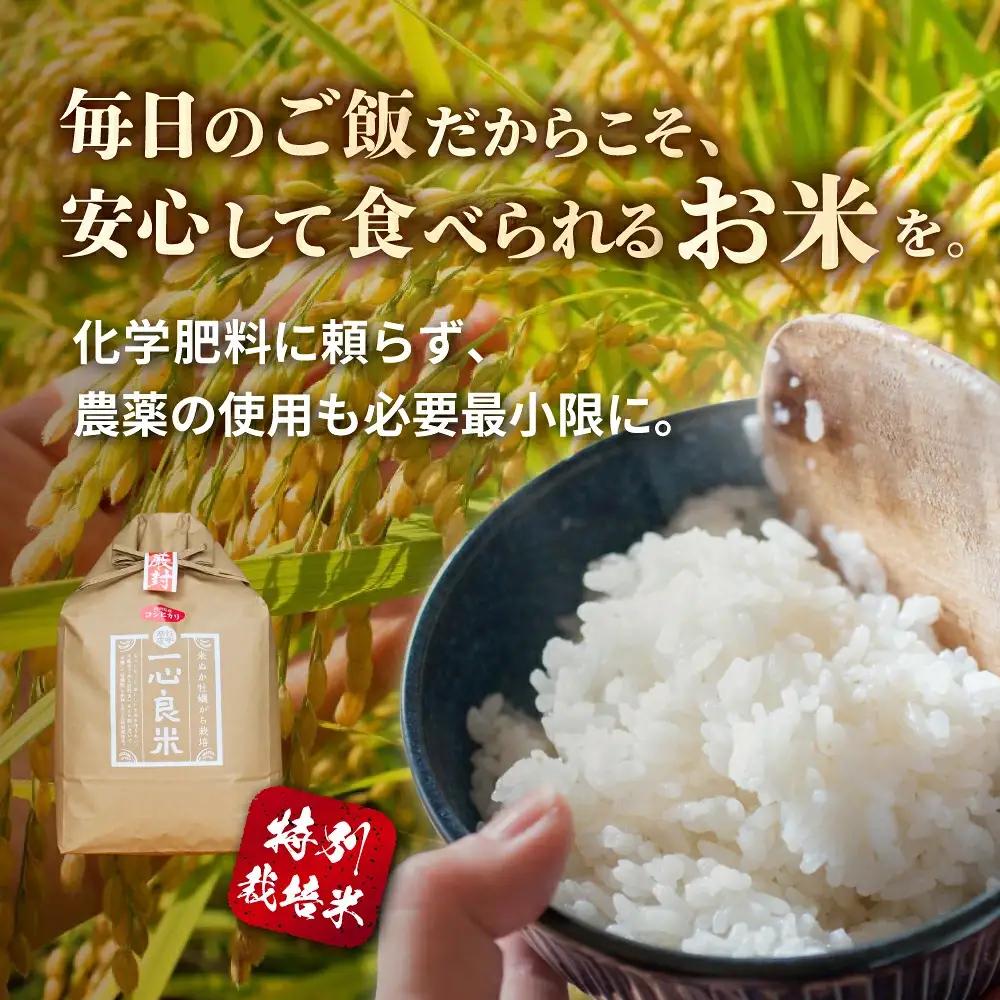 ＜全6回定期便＞ 真庭市産コシヒカリ 米ぬか 牡蠣栽培米 『 一心良米 』 玄米 10kg (5kg×2袋）×6回 令和8年産 / お米 いっしんりょうまい 岡山県 こしひかり 人気 ブランド 202