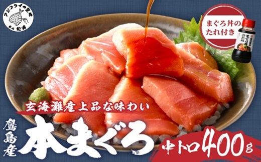 鷹島産本まぐろ 中トロ400g(まぐろ丼たれ付き)( マグロ まぐろ 鮪 本まぐろ 本マグロ 中トロ 切り落とし )【C0-024】