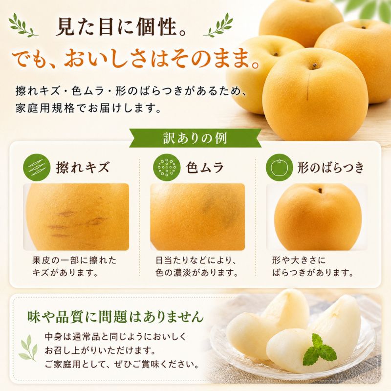 【先行予約】令和8年産 訳あり 南水 梨 4kg (8玉?12玉) 家庭用 長野県産 なんすい みずみずしい 甘い フルーツ 果物
