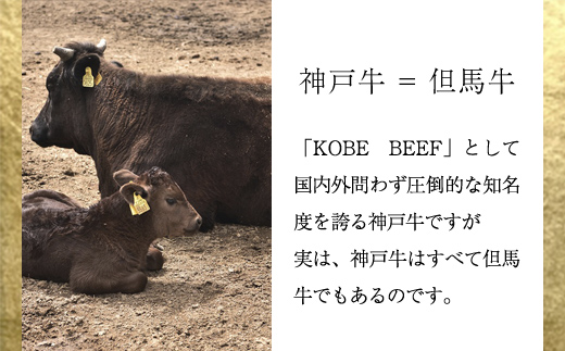 神戸牛 特選赤身ももステーキ300g（150g×2枚）