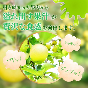 【2026年産】樹上熟成　シナノゴールド 3kg 