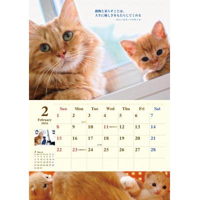 ふるさと納税 大野城市 ねこともクッキー&ねこともカレンダー(保護猫&地域猫) |  | 02