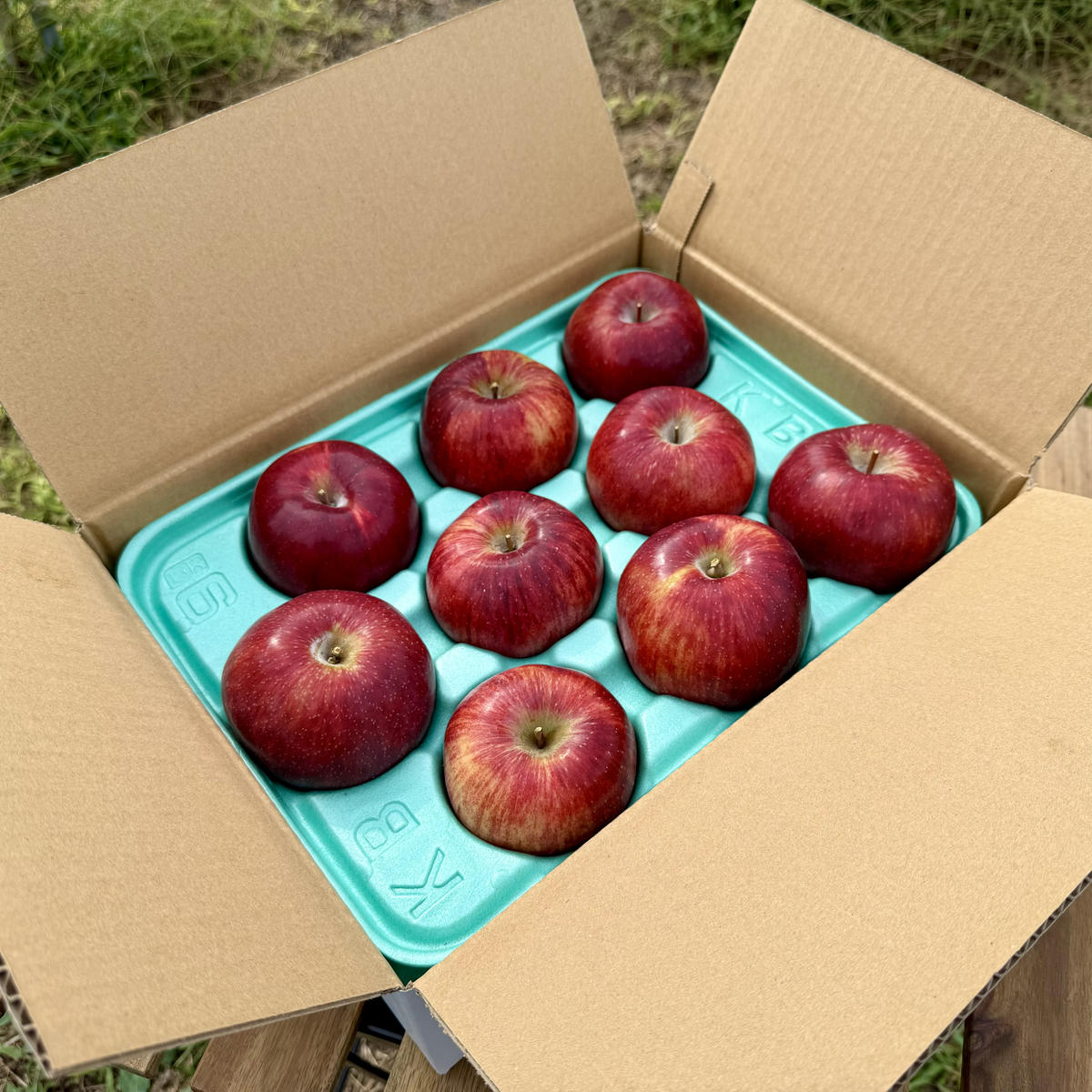 りんご 長野 完熟 サンふじ 3kg 葉取らず 産地直送 フルーツ 果物 デザート おやつ サンフジ リンゴ 林檎 秋 旬 冬 旬の果物 旬のフルーツ 信州 信州産 長野県 長野県産 2025 202